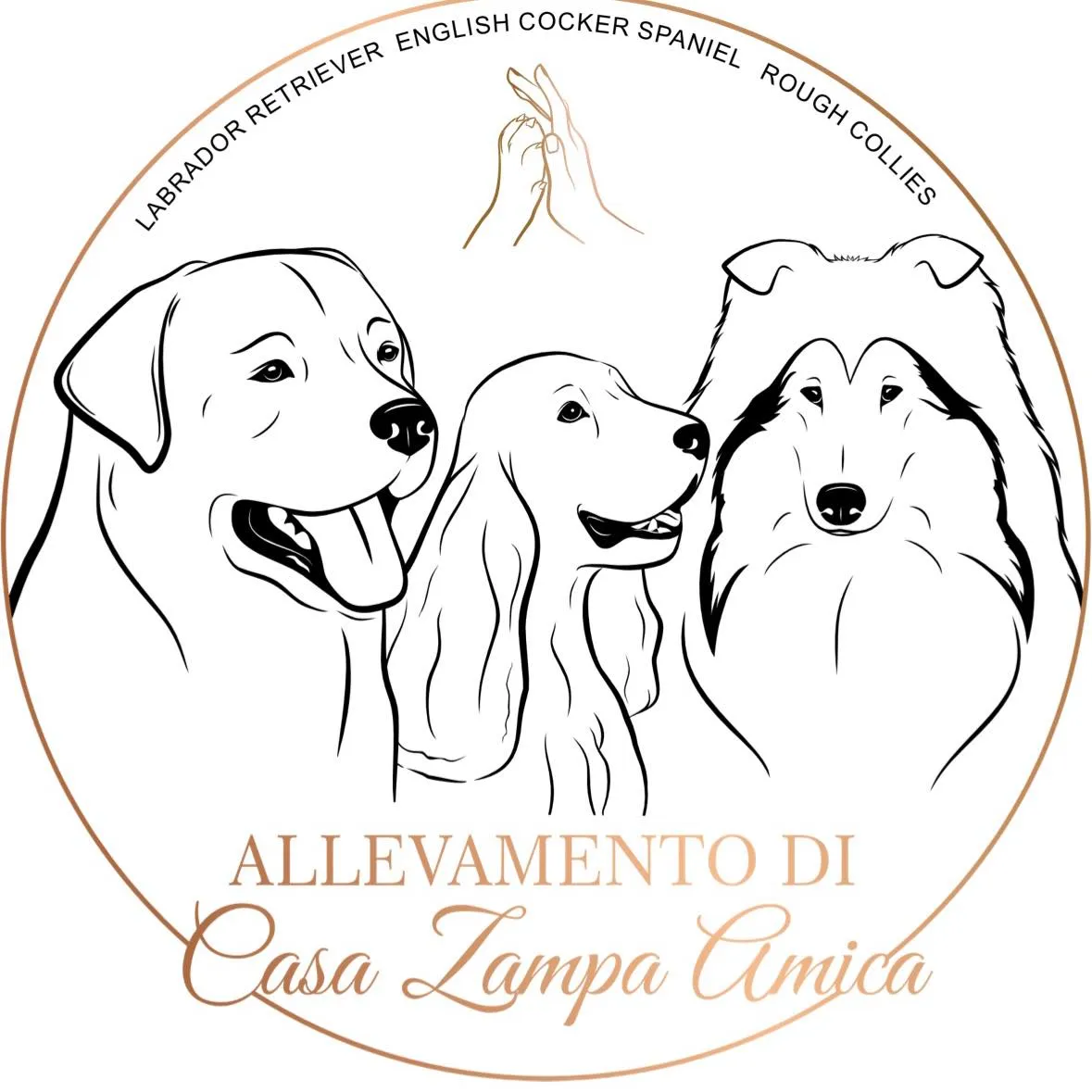 logo zampa amica - allevamento a trento